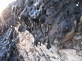 Carpinteria California 2010-02 0890